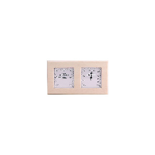 BASTUTERMOMETER&HYGROMETER