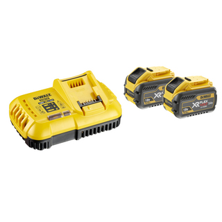 SNABBLADDARE DCB118X2 XR FV 2X9AH