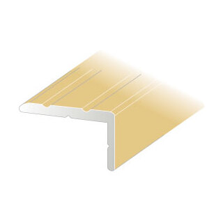 TRAPPNOS 25X15MM GULD NR41