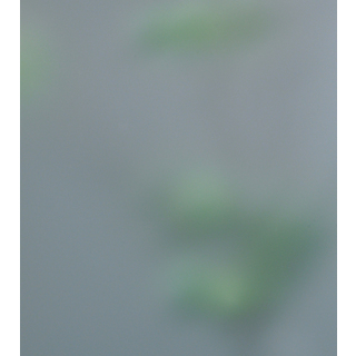 TILLÄGG SANDBLÄSTRAT GLAS JELD-WEN                                                                                            