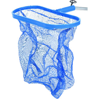 LÖVHÅV POOL NITOR DJUP