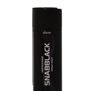 SPRAYFÄRG MASTER SNABBLACK