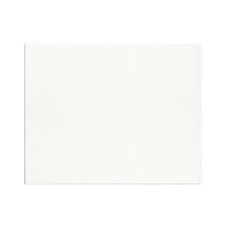 C1 VIT BLANK 20X25