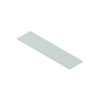 HÅLPLATTA EFZ 200X50X2,0 RAPTOR 100ST