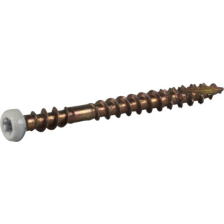 SOCKELSKRUV TX10 VITLACKERAD 3,9X42 20ST