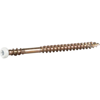 SOCKELSKRUV TX10 VITLACKERAD 3,9X57 20ST