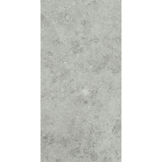 Ever Light Grey Rt 30x60 Main Image
