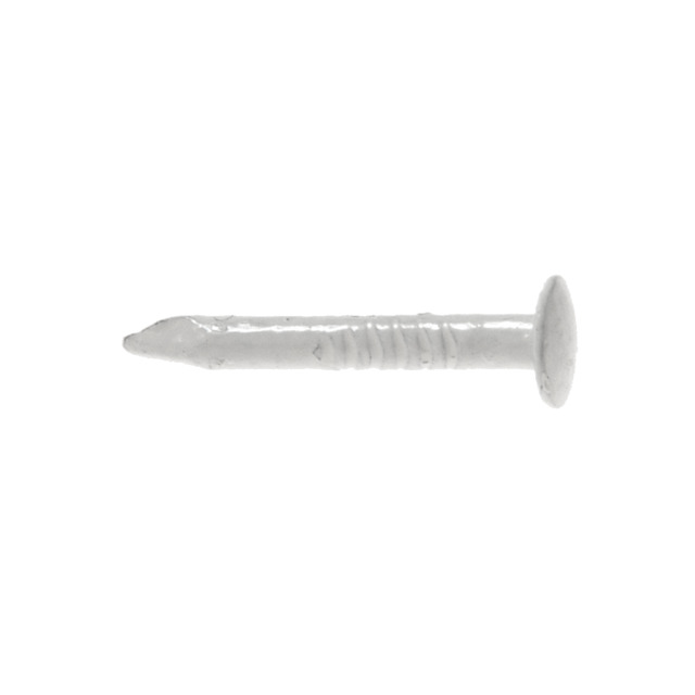 TELEFONSPIK VITLACK NCS 0502-Y RUND LÅGKULLIG 1,4X12MM 100ST | Beijerbygg Byggmaterial