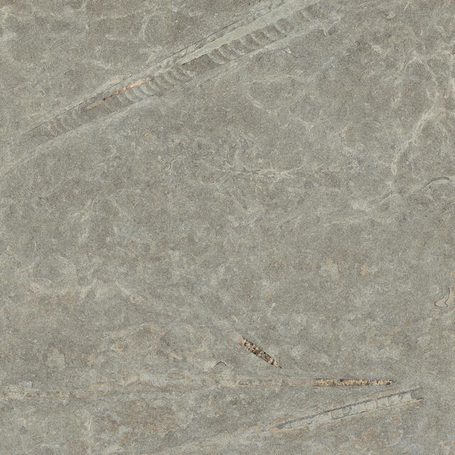 CENTRO KALKSTEN GRÅ RT 60X60 1,08M2/PKT | Beijerbygg Byggmaterial