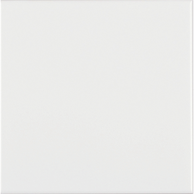 C1 WHITE MATT 15X15 1M2/PKT