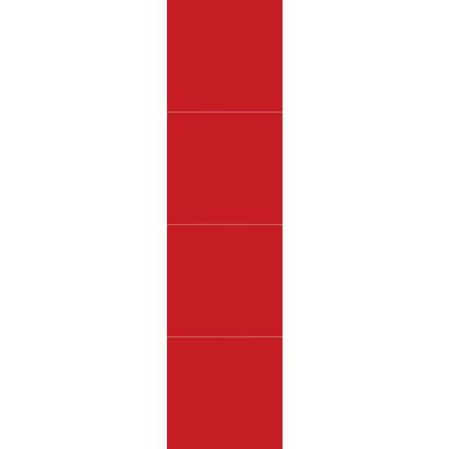 VÄGGSYSTEM RED M6060 COLOUR 11X620X2400MM | Beijerbygg Byggmaterial