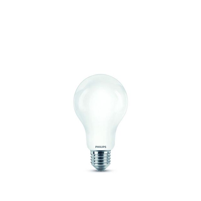 LEDLAMPA PHILIPS CLA GL LJUSKÄ A67 E27 SRT4 VV FROSTAD 120W | Beijerbygg Byggmaterial