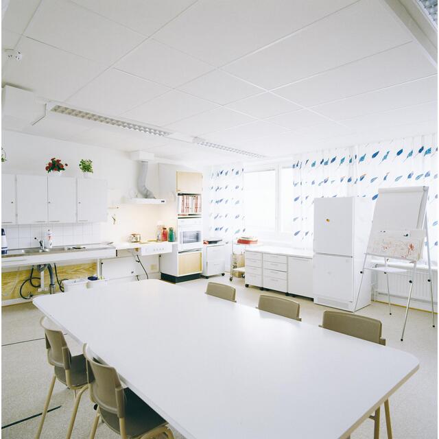 AKUSTIKTAK MASTER A T15/T24 L=600MM W=600MM T=40MM