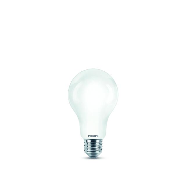 Frostad glödlampa med E27-sockel, märkt Philips.