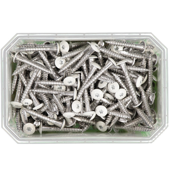 RÄNNKROKSSKRUV A2 4,8X35MM VIT 250ST TX20