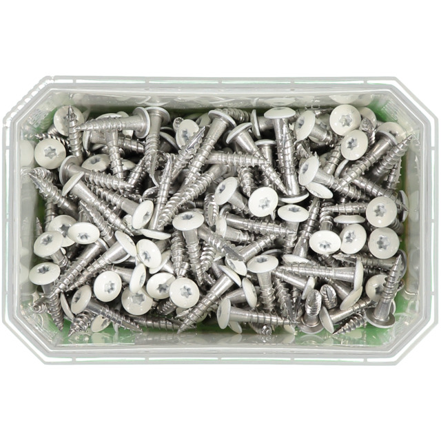 RÄNNKROKSSKRUV A2 RAL9010 VIT TX20  4,8X25MM 250ST