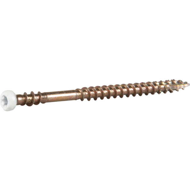 SOCKELSKRUV TX10 VITLACKERAD 3,9X57 20ST | Beijerbygg Byggmaterial