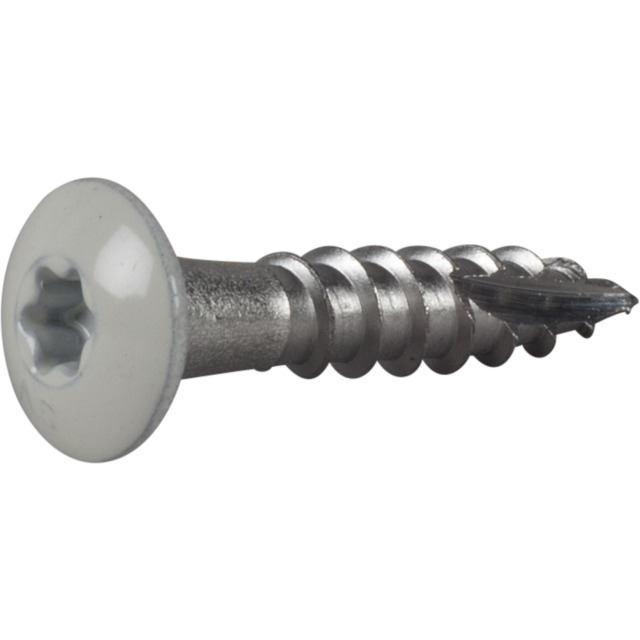 RÄNNKROKSKRUV ROSTFRI A2 VIT RAL9010 TX20 4,8X25 20ST | Beijerbygg Byggmaterial