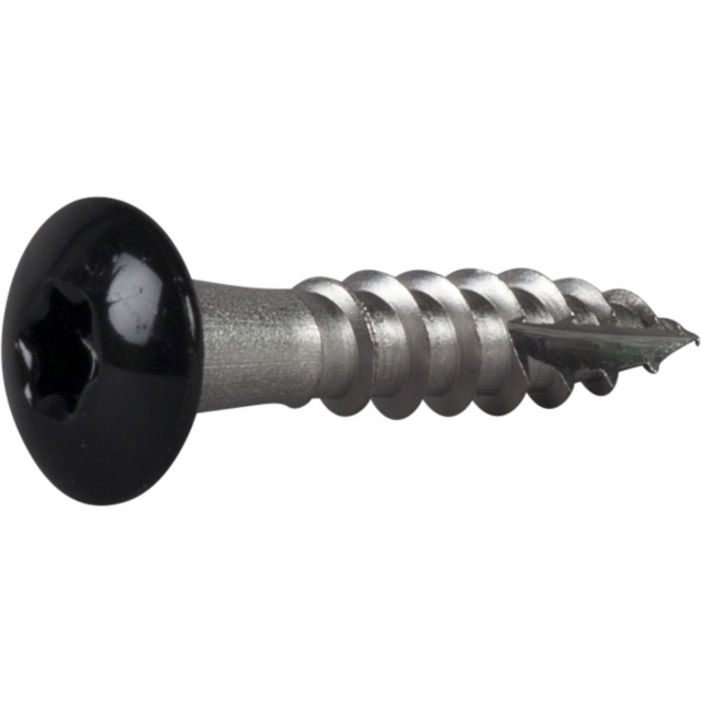RÄNNKROKSKRUV ROSTFRI A2 SVART RAL9011 TX20 4,8X25 20ST | Beijerbygg Byggmaterial