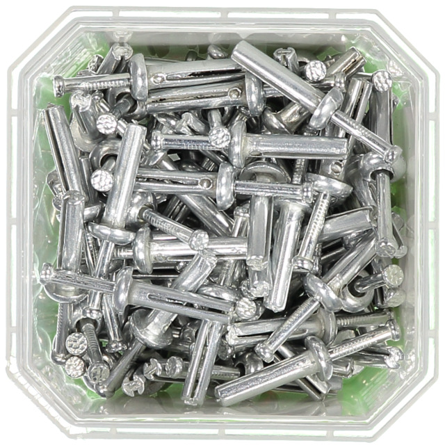 EXPANDERSPIK SPIX 5,0X22 100ST                 101202