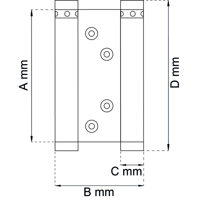 SVÄNGDÖRRSGÅNGJÄRN 10 100 SB (5)