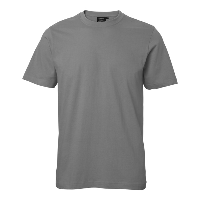 Produktbild föreställande artikeln T-SHIRT KINGS SOUTH WEST GRÅ M från kategorin Överdelar