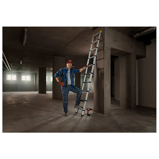 TELESKOPSTEGE WERNER 10 STEGPINNAR 2,90M