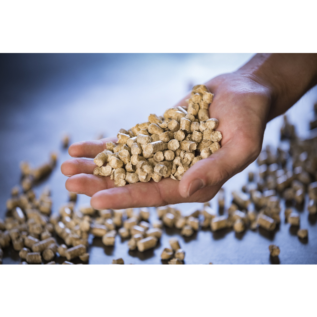 PELLETS SCA 8MM 16KG 52SÄCK/PALL
