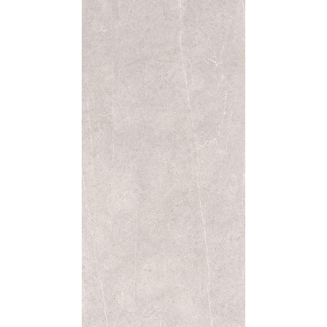 MEXICANA SILVER MATT RT 30X60 1,08M2/PKT | Beijerbygg Byggmaterial