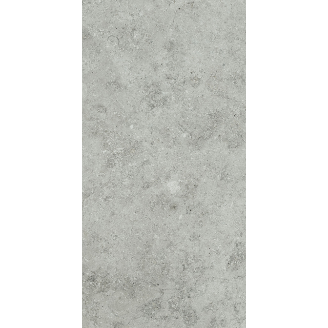 Ever Light Grey Rt 30x60