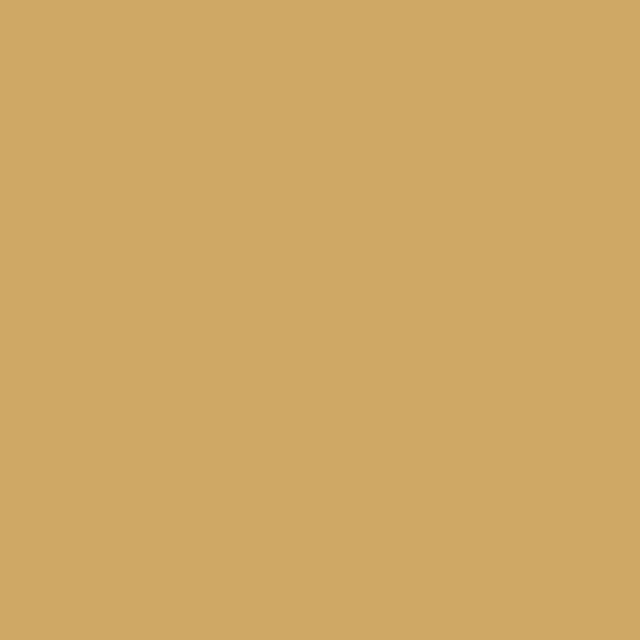 P21 PP OURO 20X20 1,2M2/PKT | Beijerbygg Byggmaterial