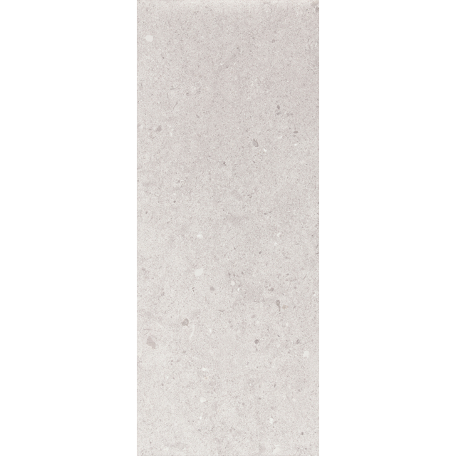 Antica Grey 20x50
