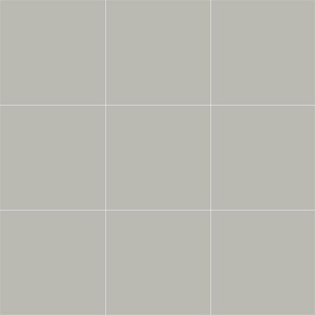 COLOR 2.0 RAL7500 GREIGE 10X10 1M2/PKT