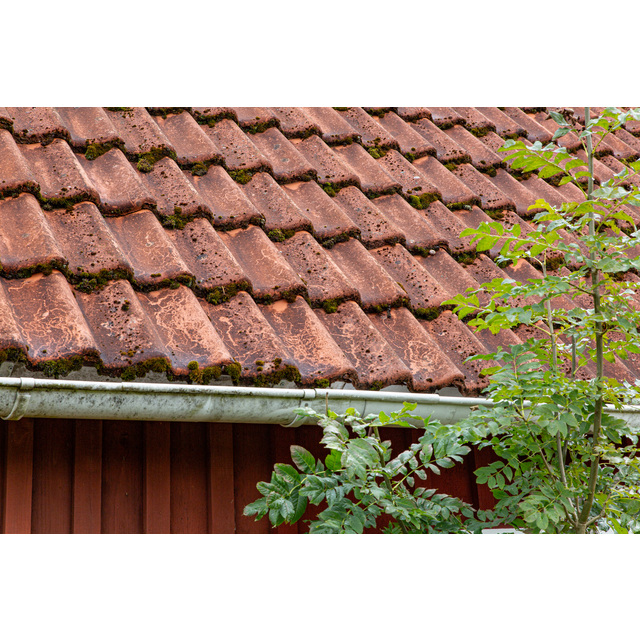 BEKÄMPNINGSMEDEL GRÖN-FRI 0,5l BIOCID SPRAY DIREKT