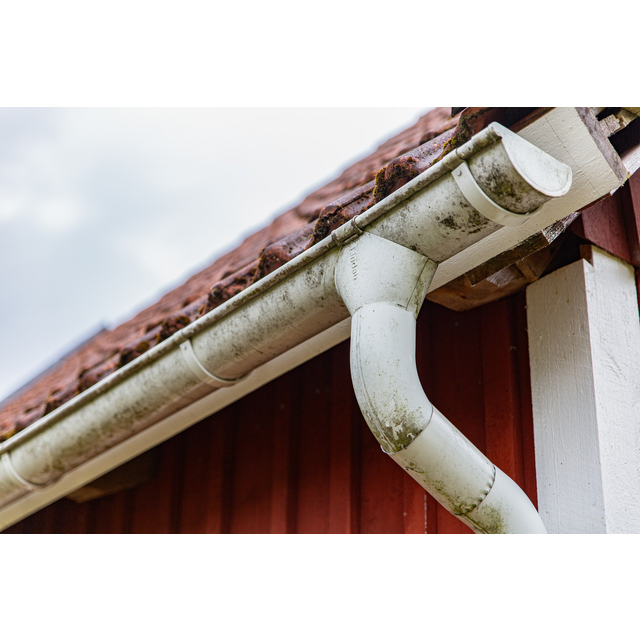 BEKÄMPNINGSMEDEL GRÖN-FRI 0,5l BIOCID SPRAY DIREKT