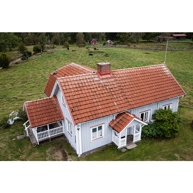 BEKÄMPNINGSMEDEL GRÖN-FRI 5l BIOCID