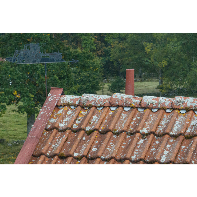 BEKÄMPNINGSMEDEL GRÖN-FRI 5l BIOCID